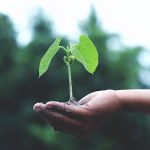Cosa si intende con ecologico scopri tutto quello che c'è da sapere!