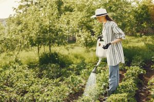 Quanto costa rinnovare un giardino di 100 mq scopri i prezzi e le soluzioni migliori